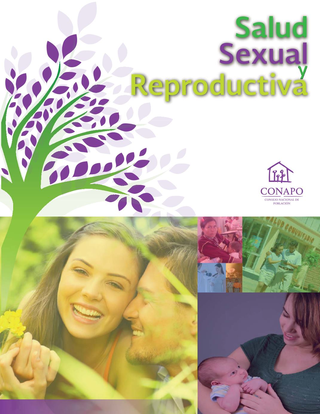 Salud Sexual Y Reproductiva Guerrero 5388